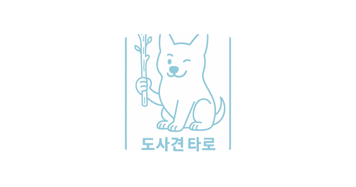 공유 카드