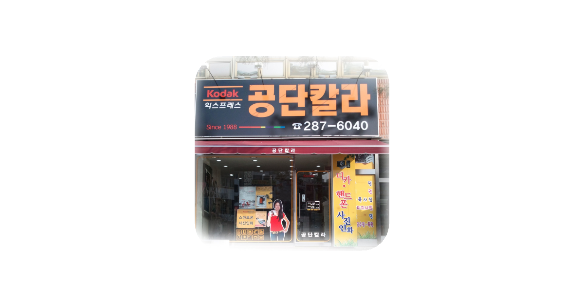 공유 카드