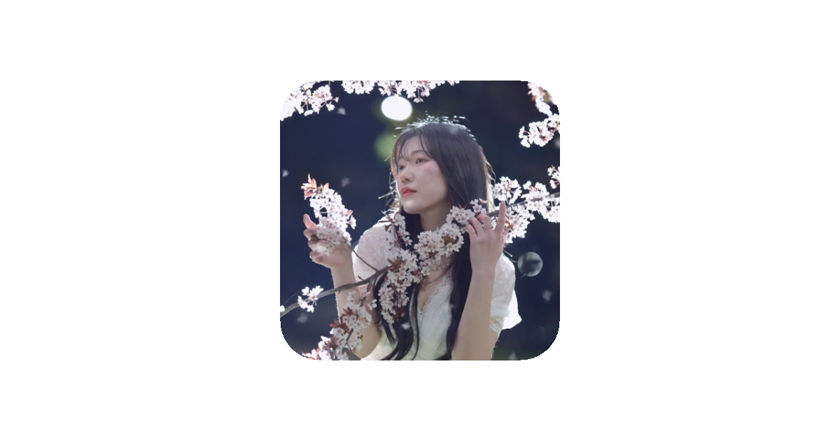 공유 카드