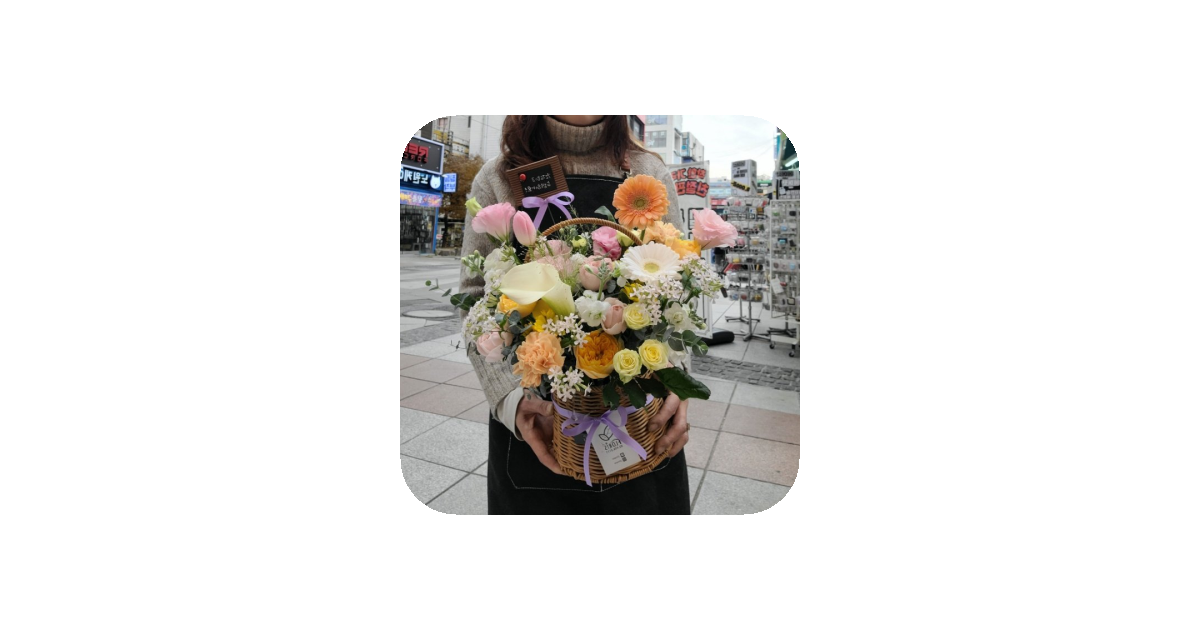 공유 카드