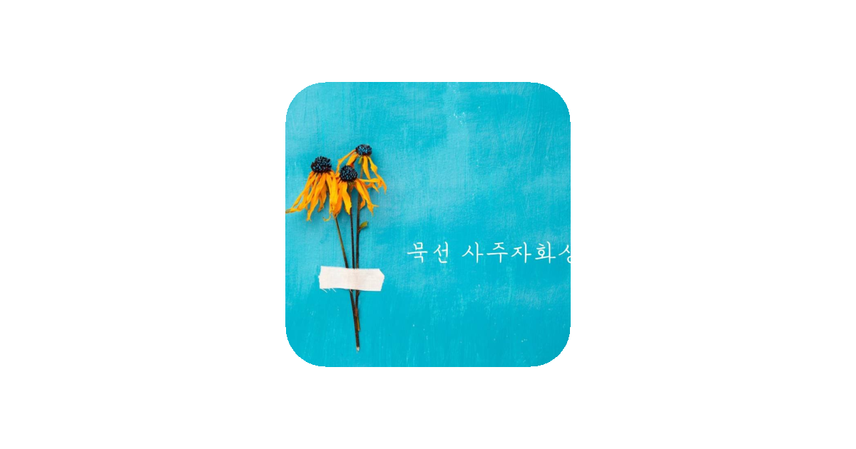 공유 카드