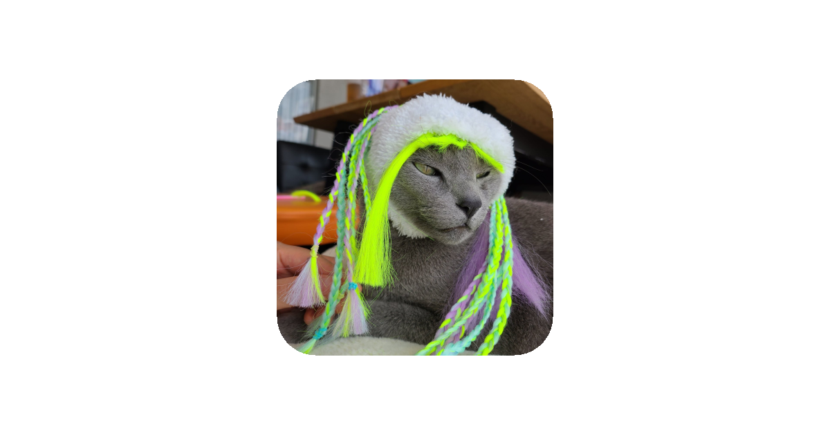 공유 카드