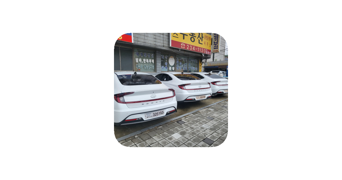 공유 카드