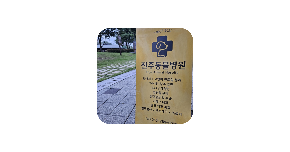 공유 카드