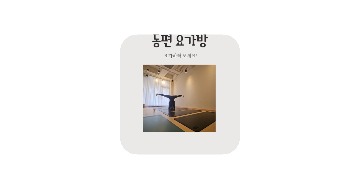 공유 카드
