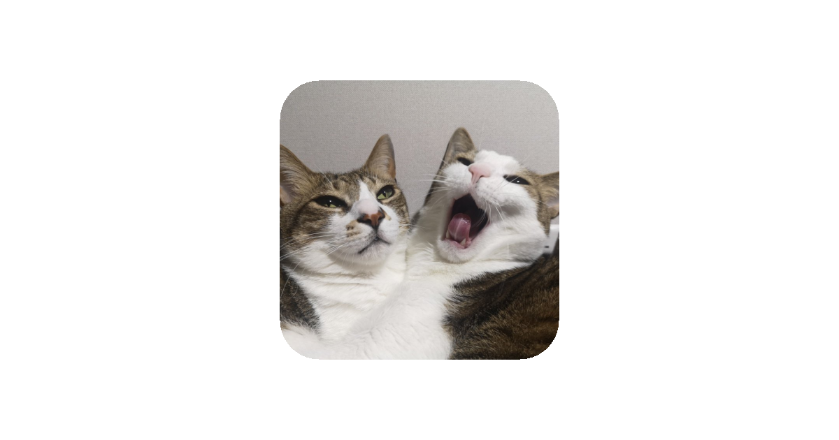 공유 카드