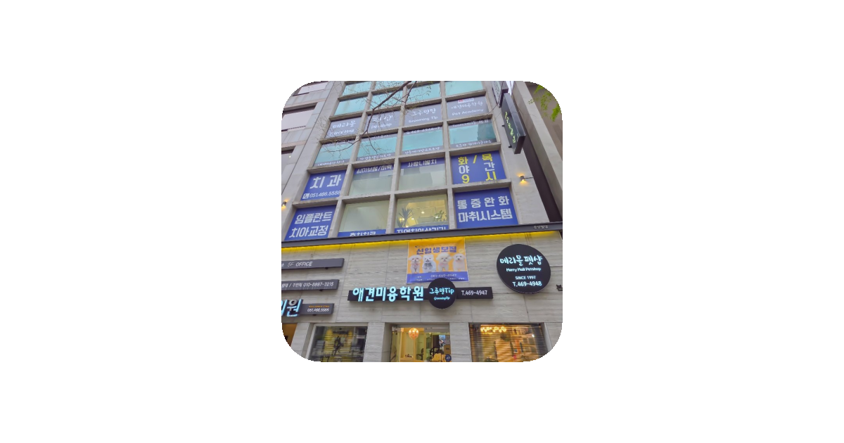 공유 카드