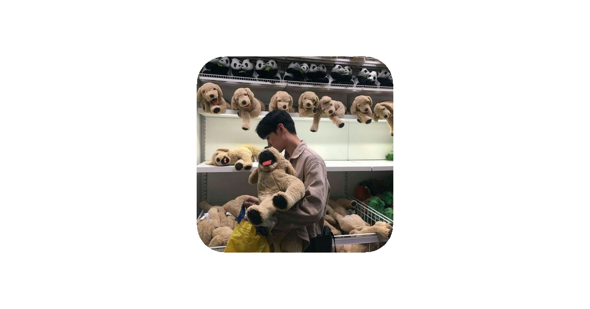 공유 카드