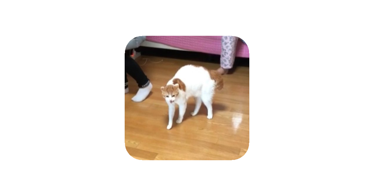 공유 카드