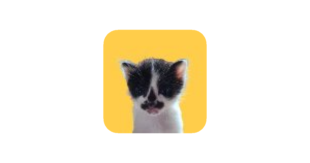 공유 카드