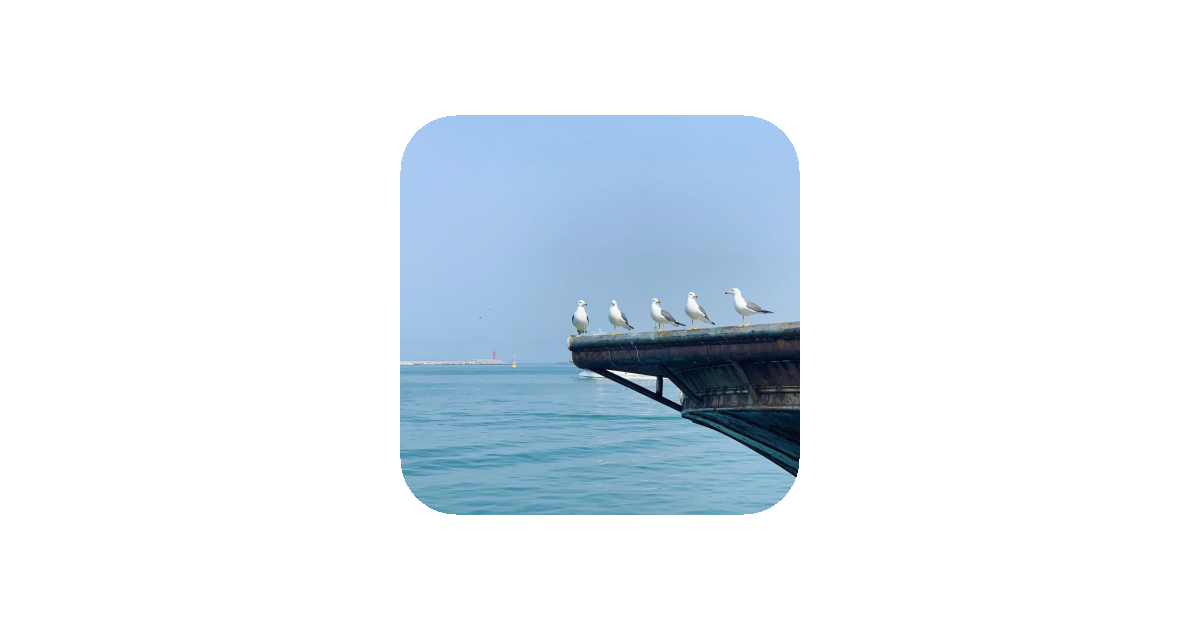 공유 카드