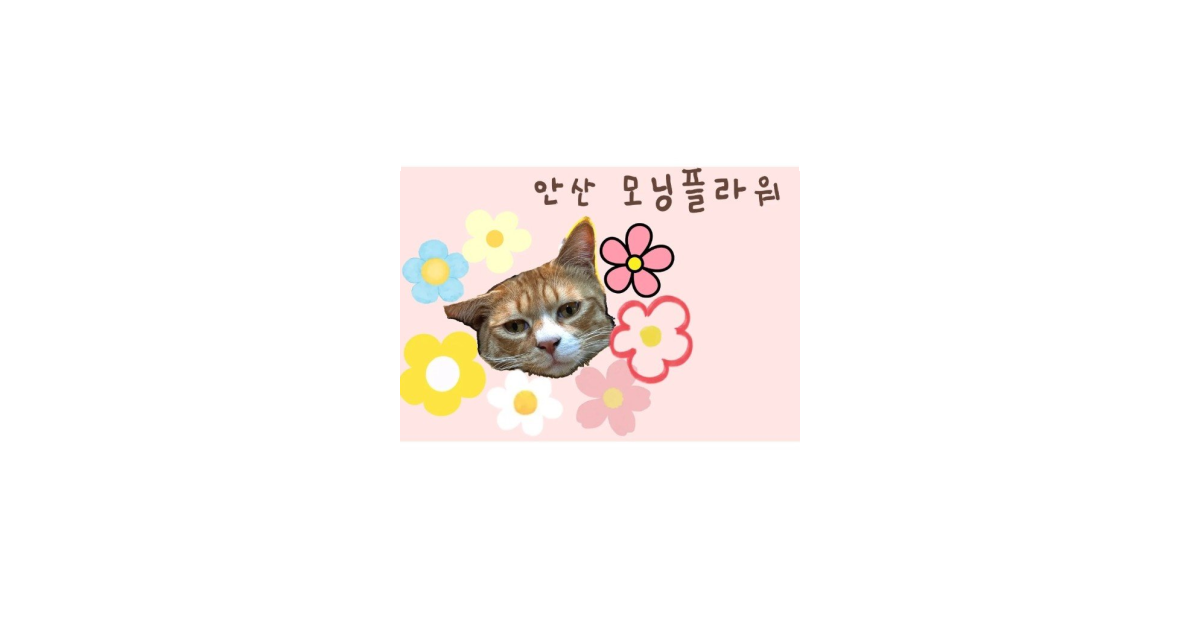 공유 카드