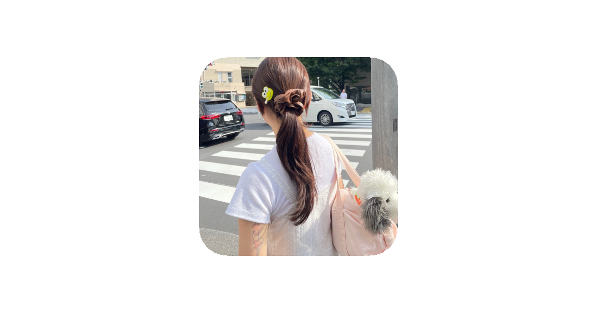 공유 카드