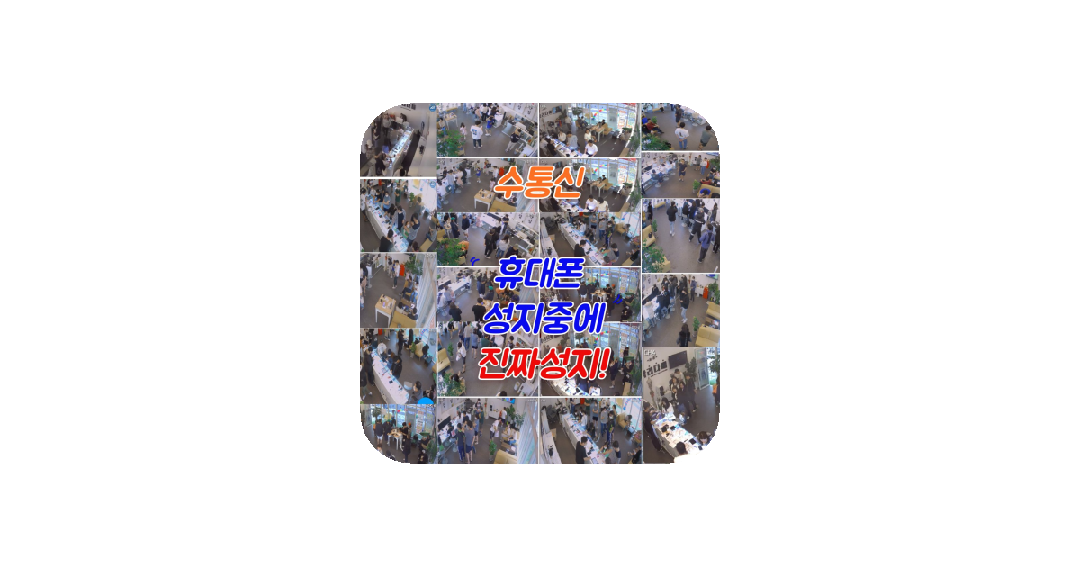 공유 카드