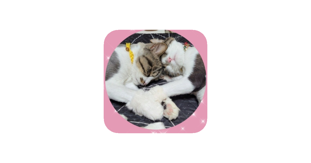 공유 카드