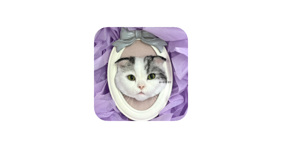 공유 카드