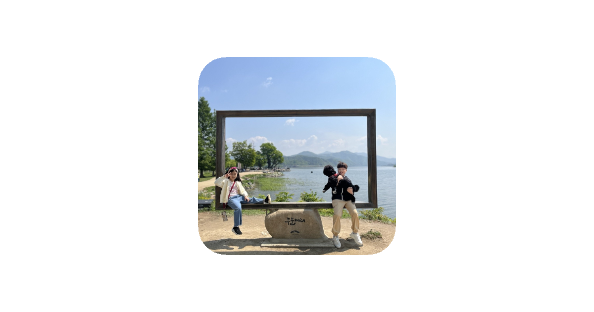 공유 카드