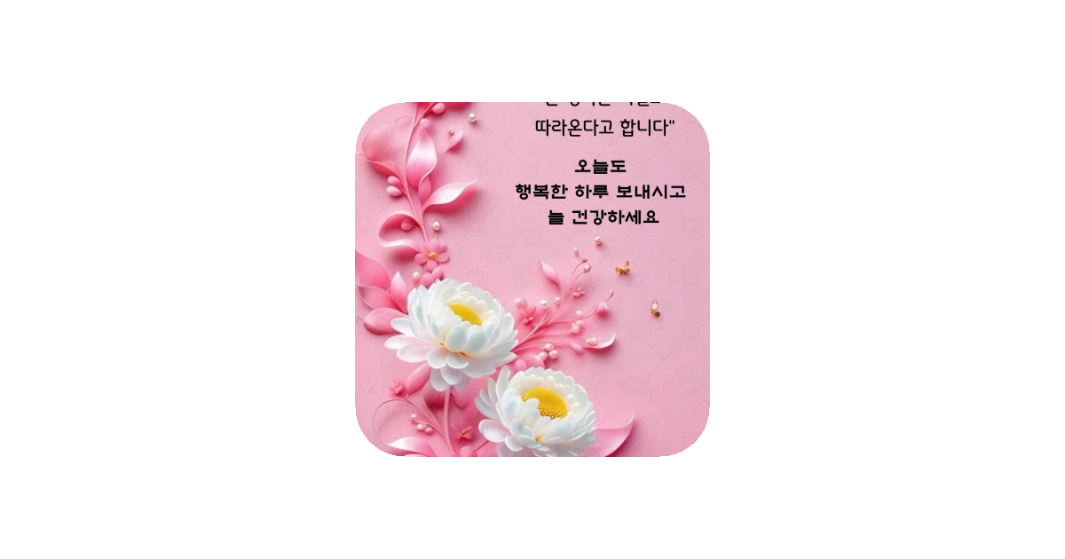 공유 카드