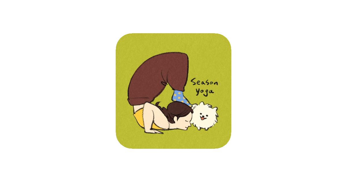 공유 카드
