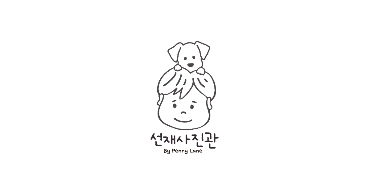 공유 카드