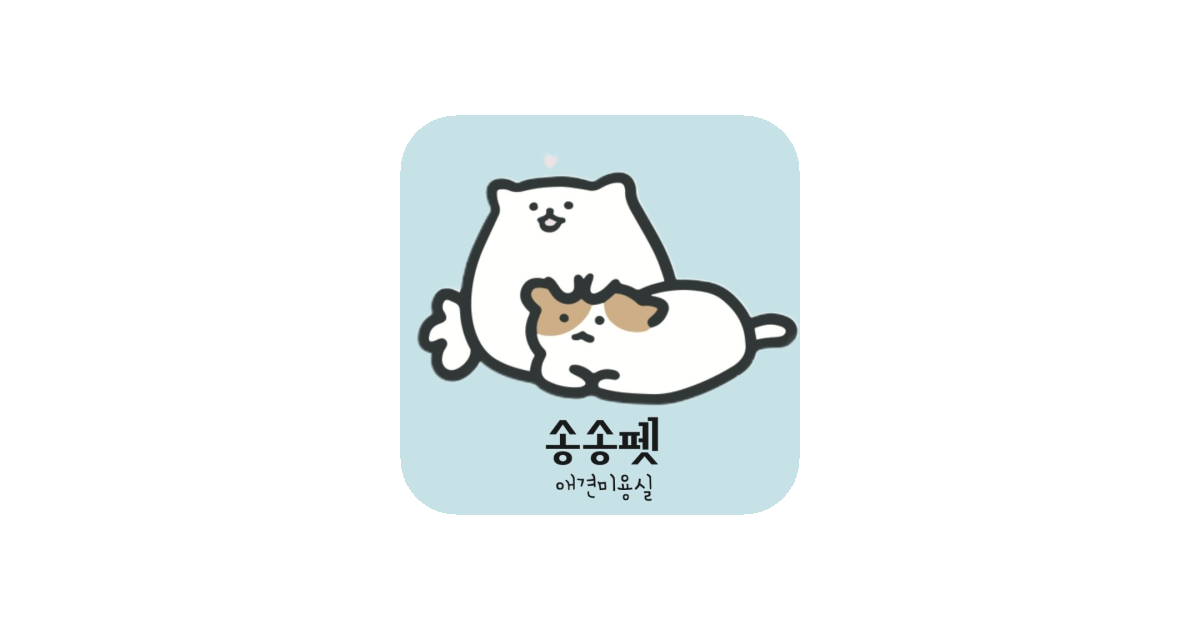 공유 카드