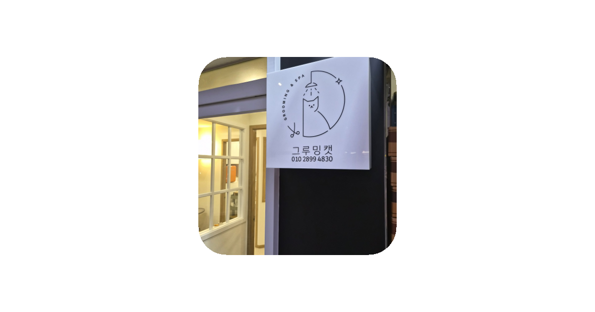 공유 카드