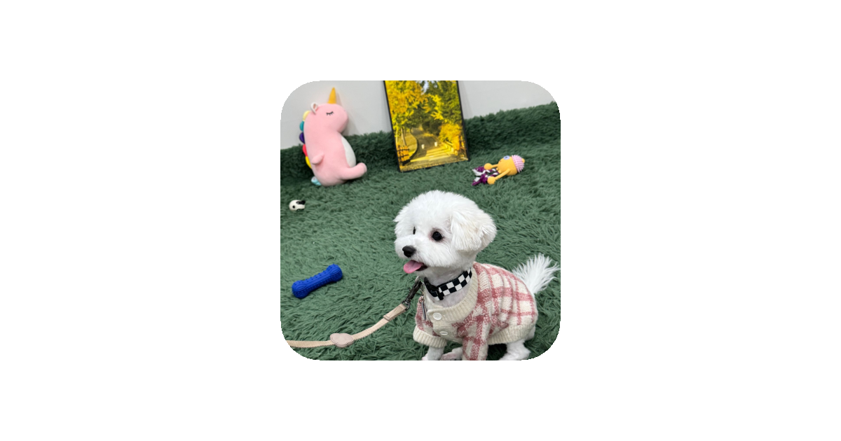 공유 카드