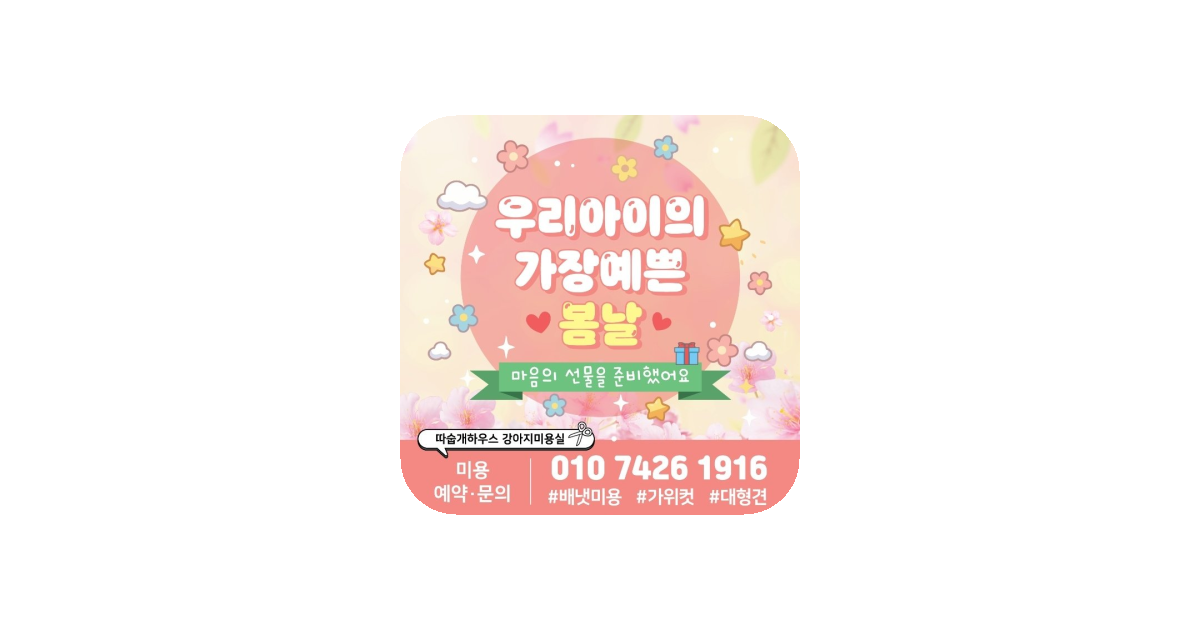 공유 카드