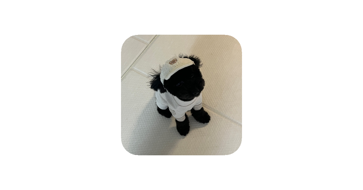 공유 카드