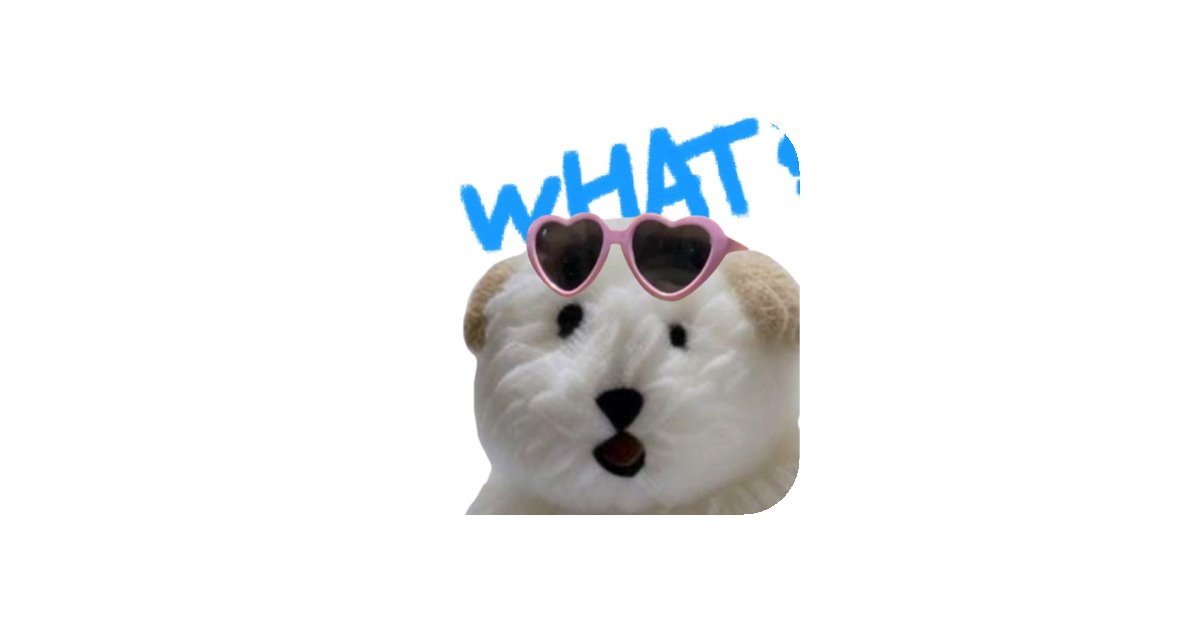 공유 카드