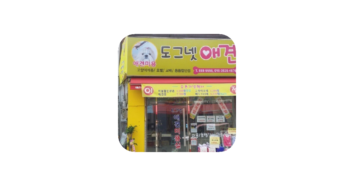 공유 카드