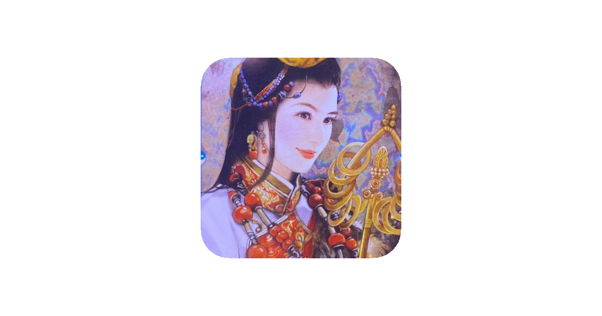 공유 카드