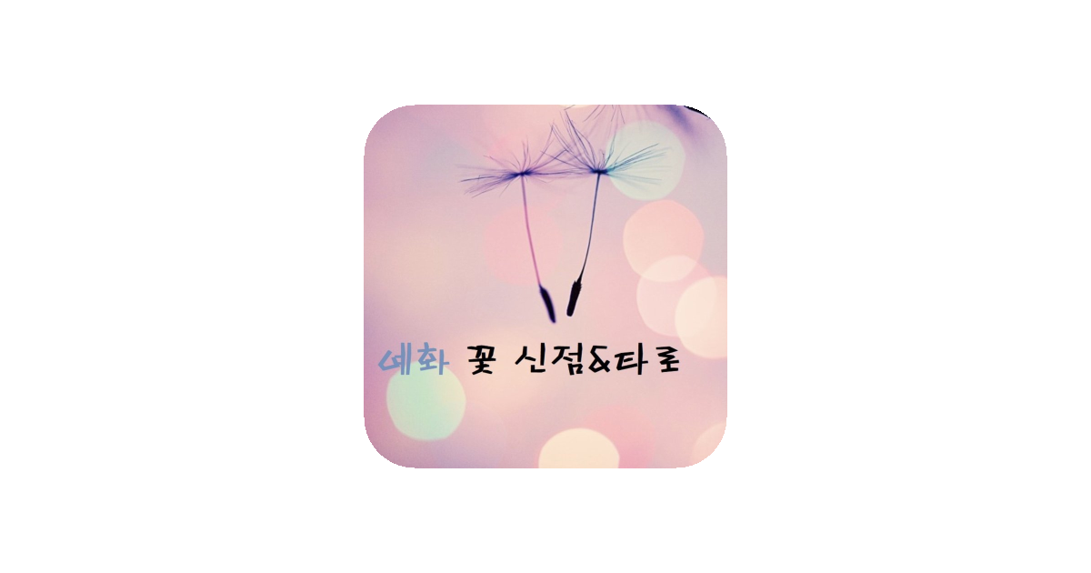 공유 카드