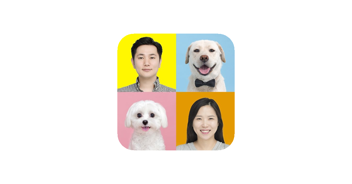 공유 카드