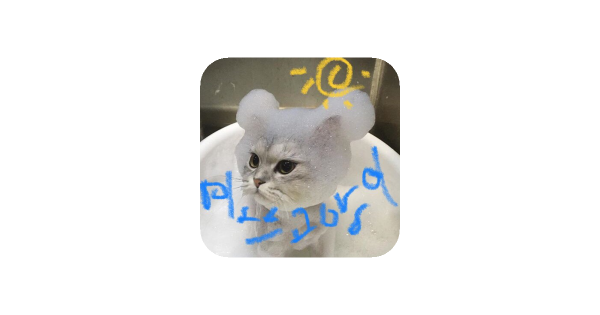 공유 카드