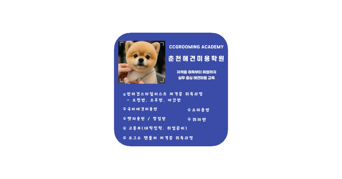 공유 카드