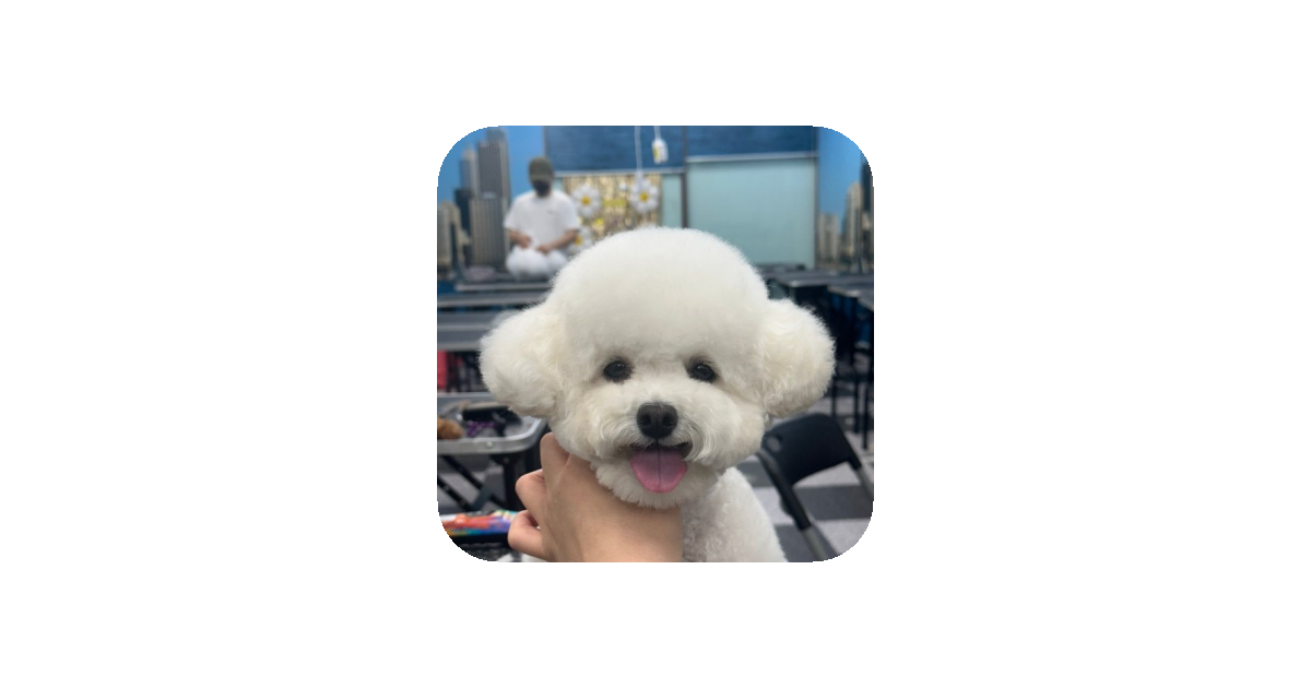 공유 카드