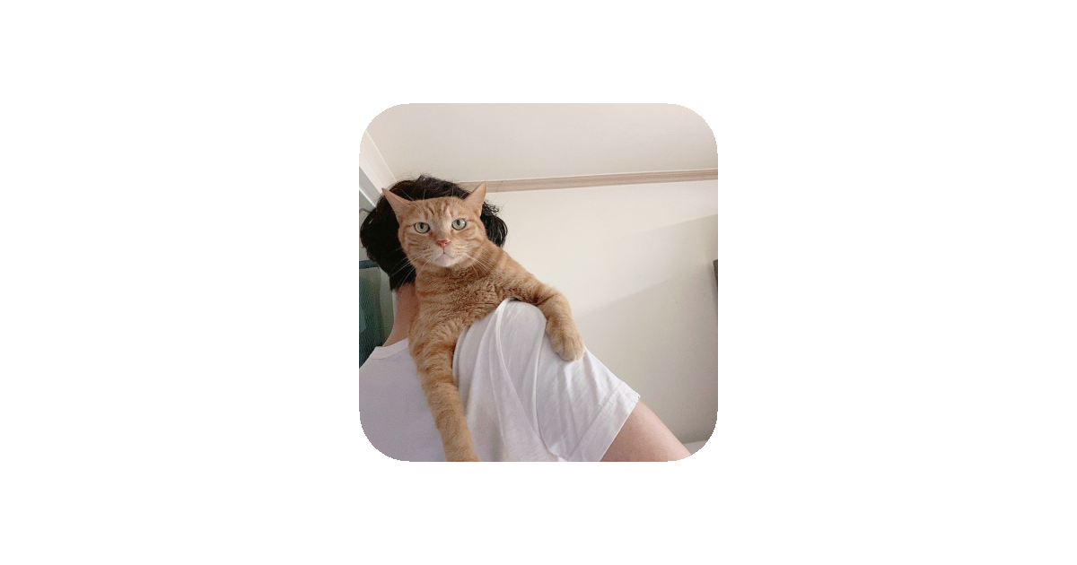 공유 카드