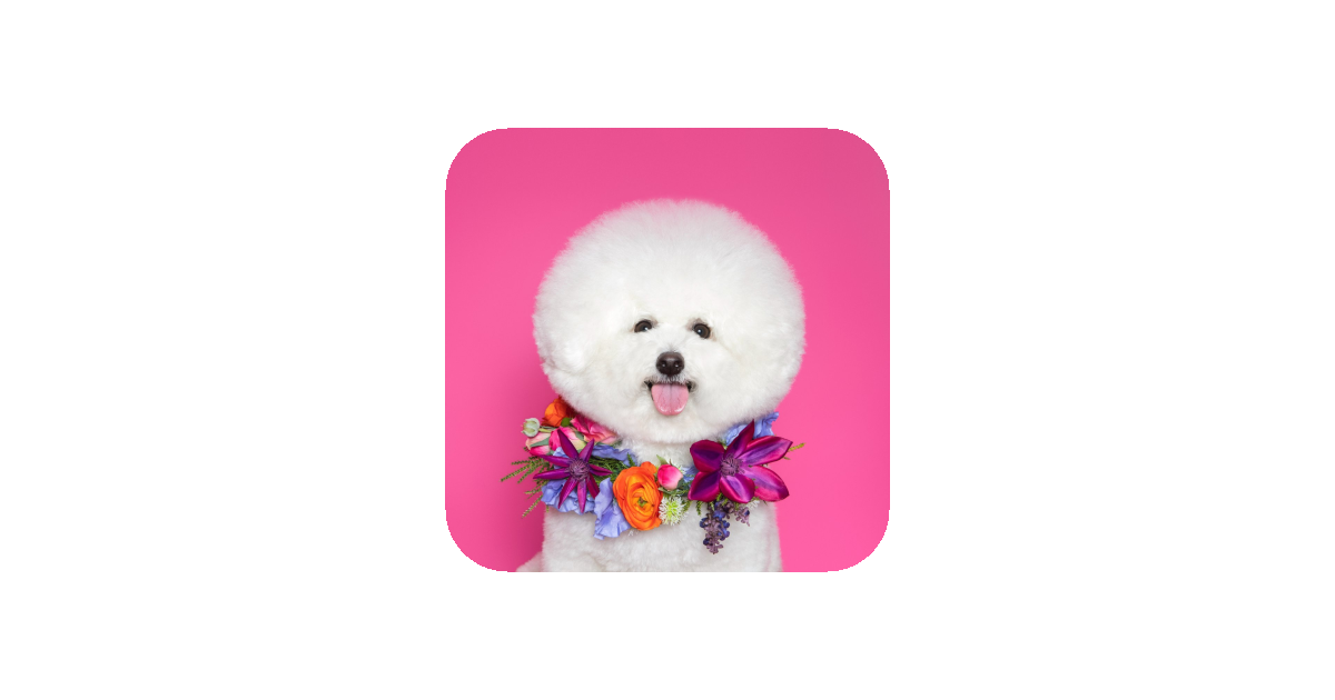공유 카드