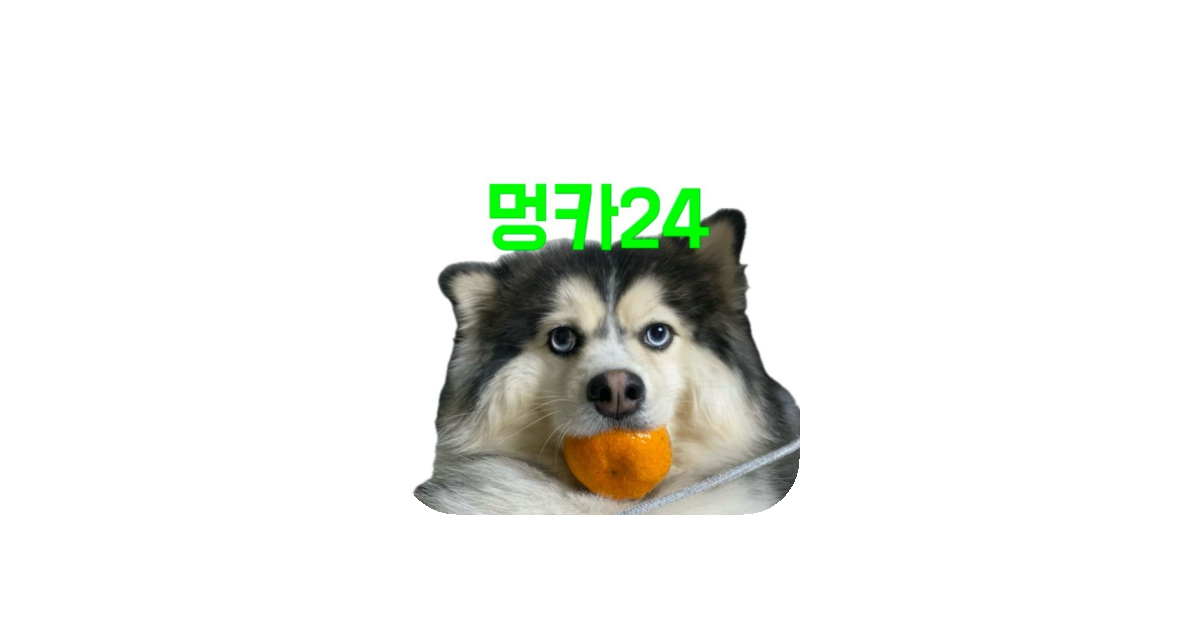 공유 카드