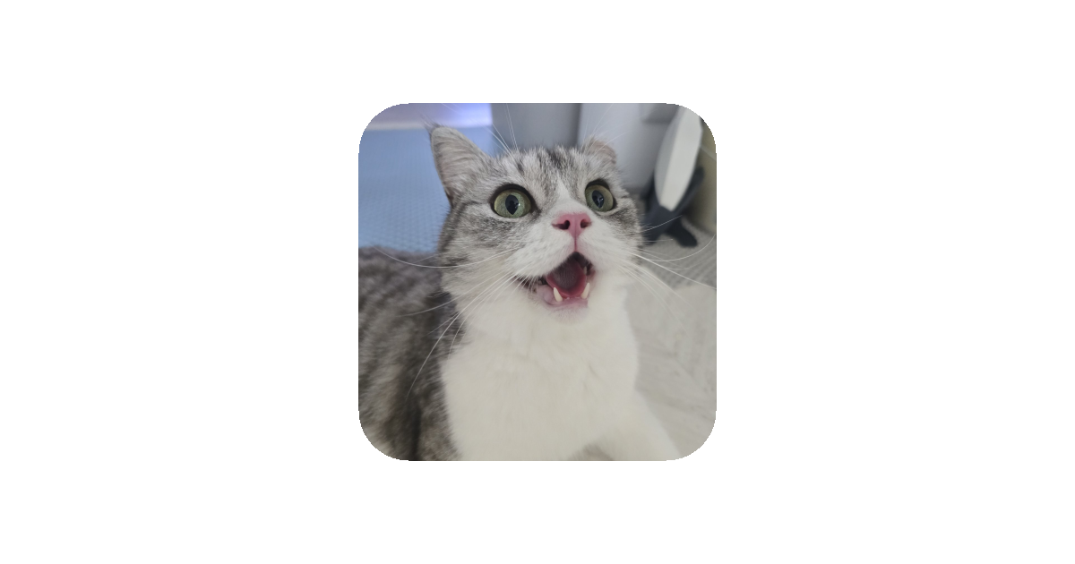 공유 카드