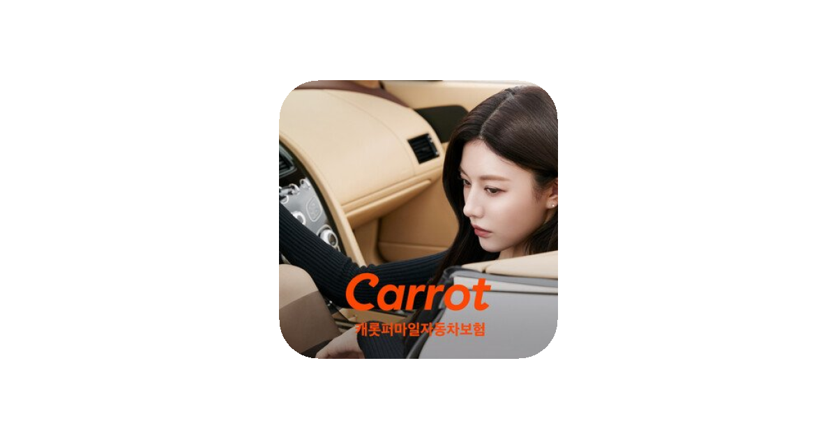 공유 카드