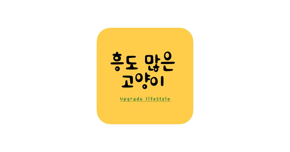 공유 카드
