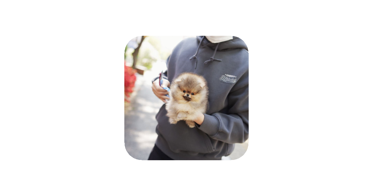 공유 카드