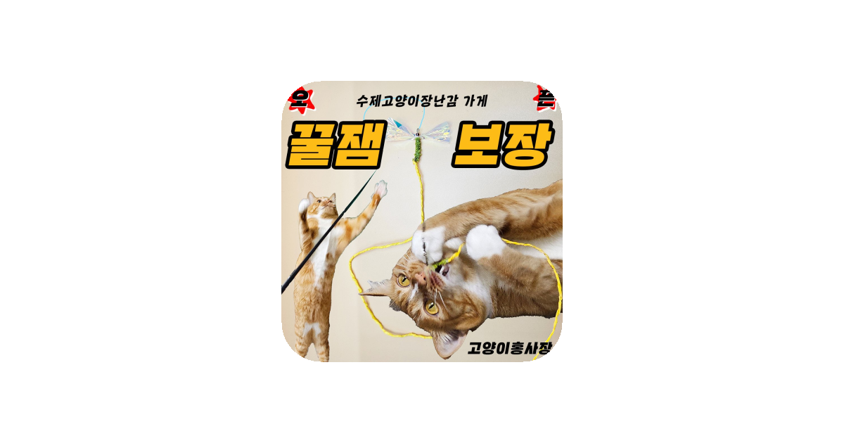 공유 카드
