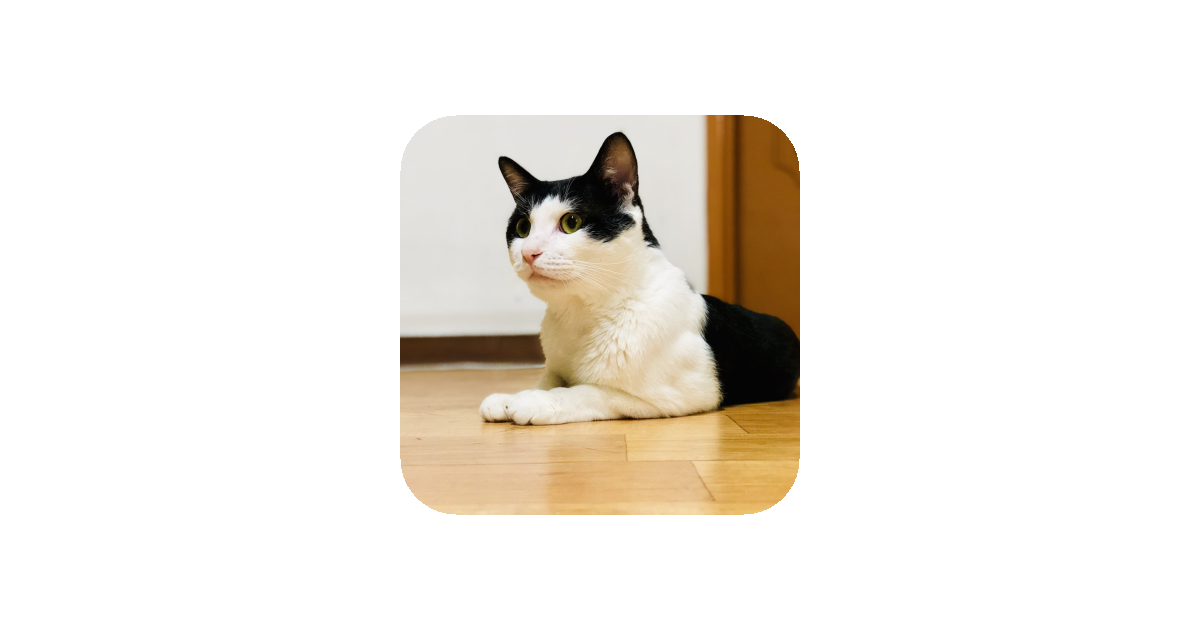 공유 카드