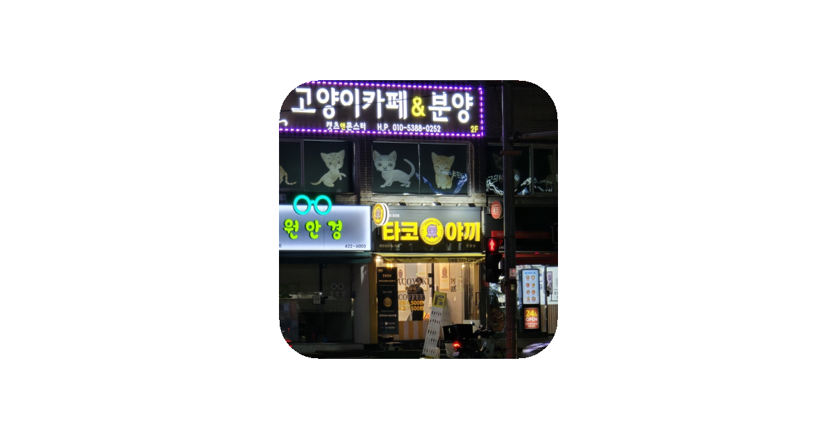 공유 카드
