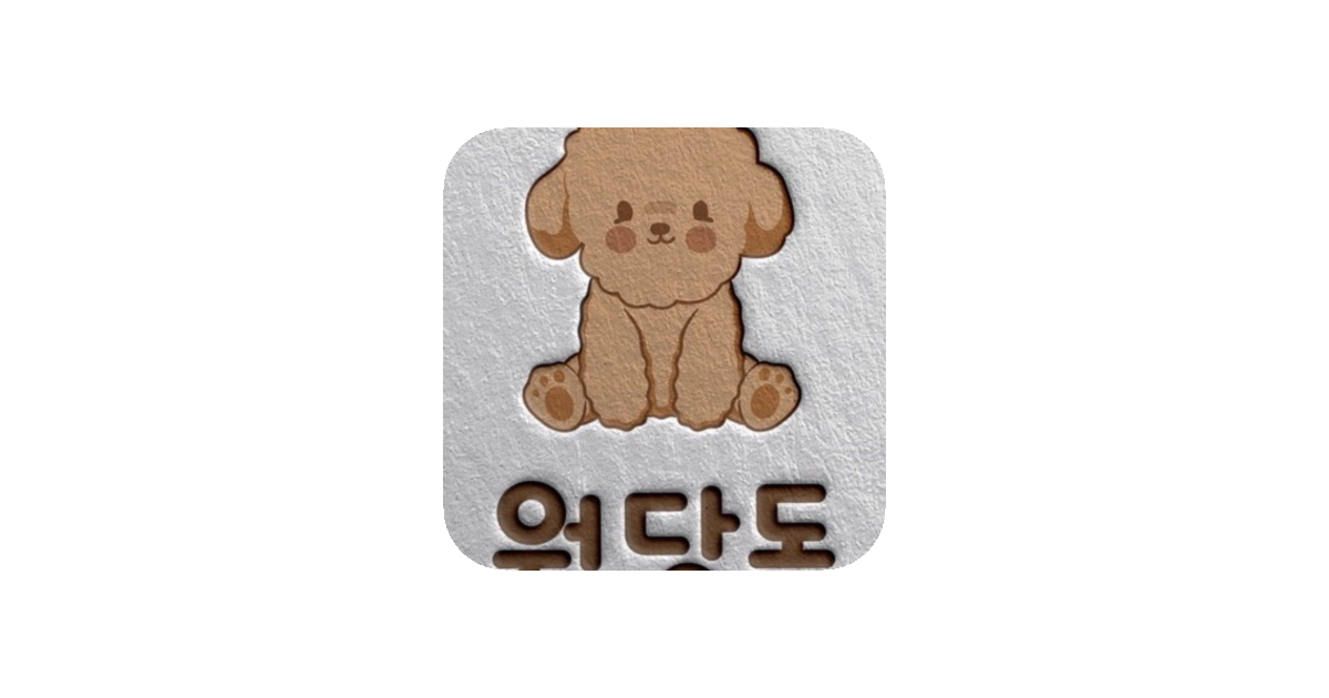 공유 카드