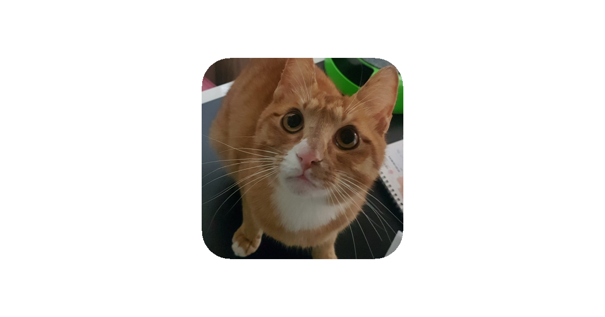 공유 카드