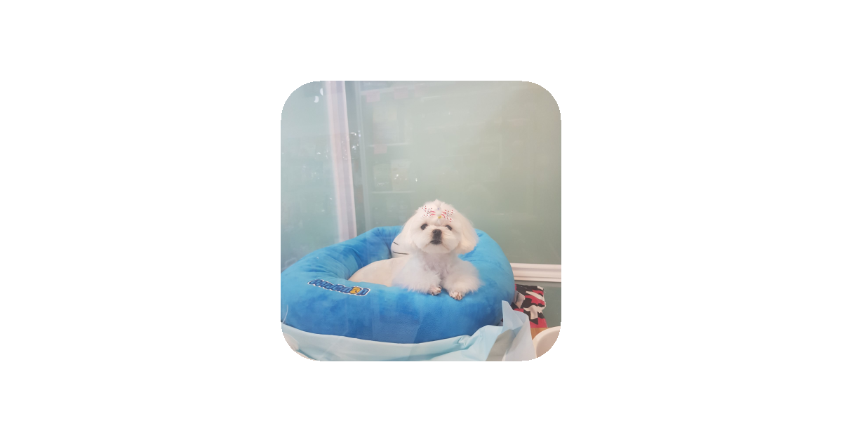 공유 카드